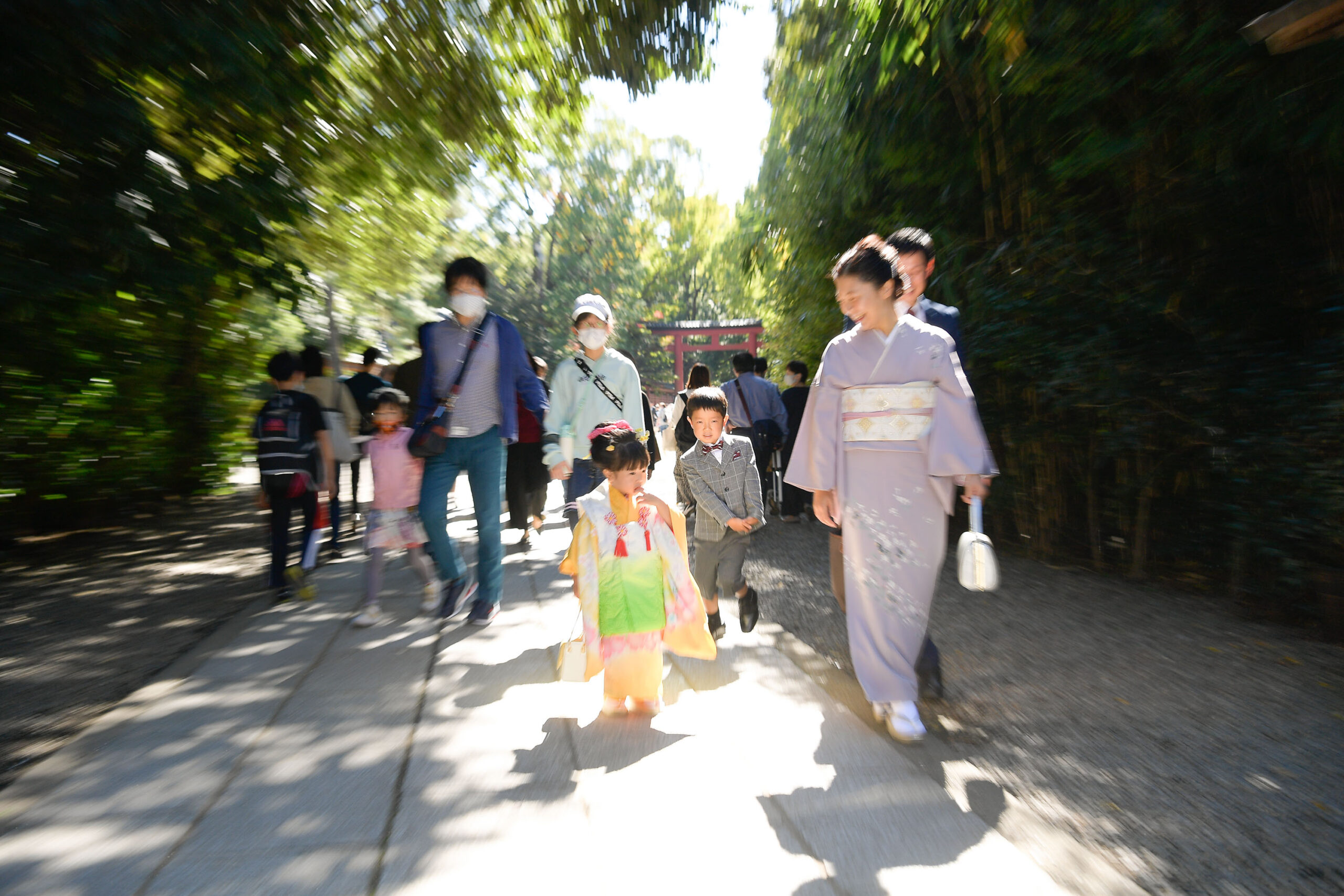 大宮氷川神社七五三の撮影｜輝いてますね｜4回目のリピーターさん