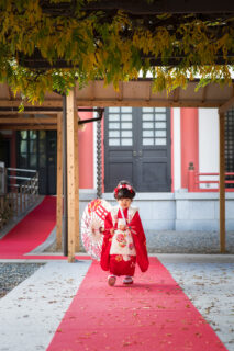 赤坂日枝神社｜七五三の出張撮影｜存在感ある3歳女の子｜